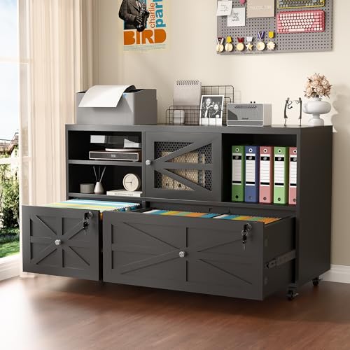 Archivador de 2 cajones estilo - File Cabinet Lateral reseña y precio